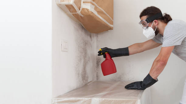 Professional Mold Cleanup technician working in Stedman, NC