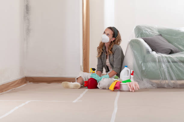 Reliable Mold Cleanup contractor in Stedman, NC by WQB Mold Removal